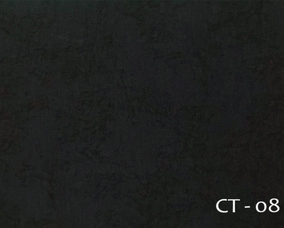 CT – 08